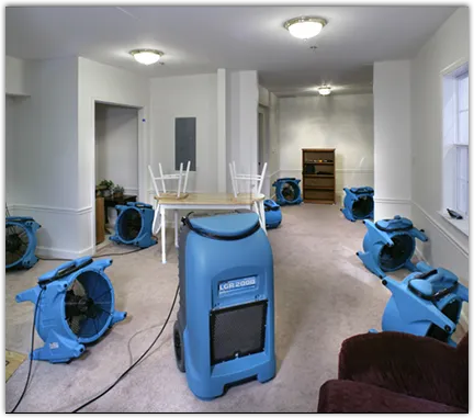 Flood Damage Cleanup in Quartz Hill, CA