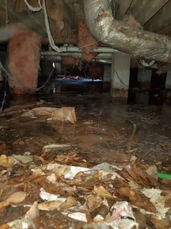 Crawl space flood assessment for Leak Detection & Repair in Quartz Hill